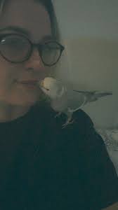 Winger spotted far from shore near 3rd Ave, safety concerns and Coast Guard  calls