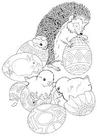 Hedgehog Coloring Pages Best Coloring Pages For Kids Easter Coloring Pages Easter Colouring Spring Coloring Pages