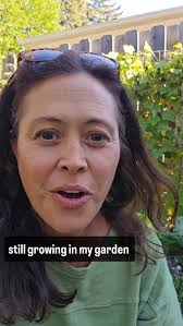 What's Growing in my vegetable garden now? , Thanks to succession planting  and cold hardy crops... so much!, Do you plant a fall garden?
