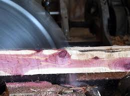 PHOTOS: Lindsay sawmill