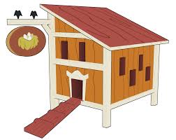 How To Build A Chicken Coop - Agrison
