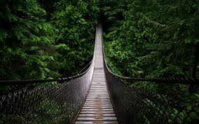 The 50 Best Desktop Wallpapers For 2013 Bridge Wallpaper Forest Wallpaper Nature Wallpaper