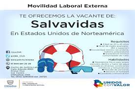 Oferta Sne Chihuahua Vacantes Para Canada Alemania Y Estados Unidos