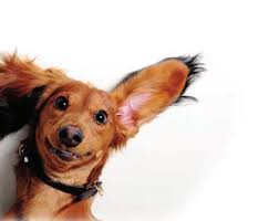 GRIMES/DALLAS CENTER