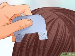 How to check yourself for lice. How To Check For Lice With Pictures Wikihow