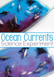 Ocean Currents Science Experiment Science Experiments Kids Ocean Science Experiments Ocean Science
