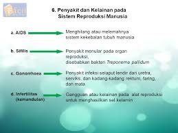 Infodatin prevalensi hepatitis di indonesia pada tahun 2013 sebesar 1,2% meningkat dua kali dibandingkan riskesdas tahun 2007 yang sebesar 0,6%. Sistem Reproduksi Unit 2 Learning More Biology Ppt Download