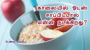 க ல ய ல ஓட ஸ ச ப ப ட ட ல Benefits Of Oats Oats Benefits Oats Oats Breakfast ஓட ஸ Youtube