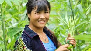 Fundraiser by Abe Harper : Help Provide Walls and Windows Before Winter