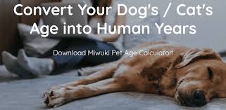 What is a 'pet year'? Miwuki Pet Age Calculator Dog Cat Age Calculator Google Play DÉ™ TÉ™tbiqlÉ™r