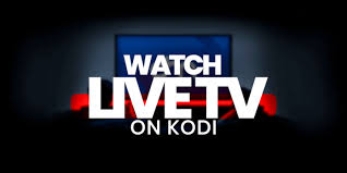 Download simple iptv apk 1.1.6 for android. Como Configurar El Pvr Iptv Simple Client En Kodi 2021