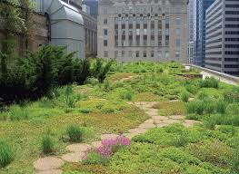 From raised beds to paths, check out our design tips! The History Of Rooftop Gardens Turf Magazine