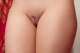 Wallpaper nikia, nikia a, naked, closeup, shaved pussy, labia, hi-q, pussy, coin  slot pussy, waxed, hot, smooth desktop wallpaper - XXX walls - ID: 202527 -  ftopx.com