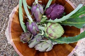 Perennials for usda zone 9. Perennial Vegetables Fruits Herbs And Nuts