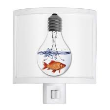 Fish In A Light Bulb Quirky Goldfish Design Zazzle Com Light Bulb Light Bulb Design Bulb