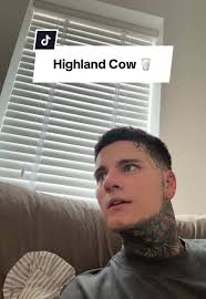 Challenges of Parenting: A Highland Cow Story