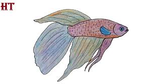 Neon tetras are one of the most popular aquarium species, and one of the most common freshwater fish species for beginners. How To Draw A Betta Fish Easy For Beginners