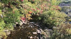 It turned out to be a birthday bust. the decor in the building itself is beautiful, very spacious, and very fresh, unlike their other restaurants. Sackville Greenway Tourism Nova Scotia Canada