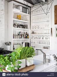 assorted fresh herbs in kitchen with