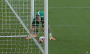 I reckon pickford is secretly catcher. Video Pickford Laughs Off Horrific Error For Everton Vs Wolves