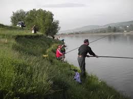 Maybe you would like to learn more about one of these? Pescuitul Recreativ Si Sportiv IntrÄƒ Doar In Parohia Ajvps Urilor