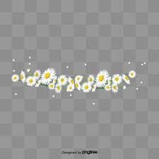 Black And White Daisy Transparent Background Flower Clipart Daisy Clipart Png Images 480 Daisy Png Clip Art For Free Download Pngtree Flower Png Images Simple Flowers Small White Flowers