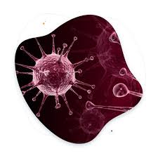 Image result for genital herpes