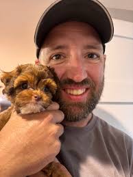 Great Dane and Doodle