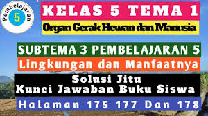 Maybe you would like to learn more about one of these? Kelas 5 Tema 1 Subtema 3 Pembelajaran 5 Lengkap Youtube