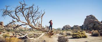 We did not find results for: Hidden Valley Joshua Tree National Park Flying Dawn Marie