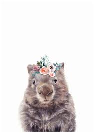 Wombat With Flower Crown Wombat Print Animal Prints For Etsy Animals Baby Animals Australian Animals