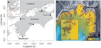 Hope help u mark me brainlist. Coverage Diversity And Functionality Of A High Latitude Coral Community Tatsukushi Shikoku Island Japan