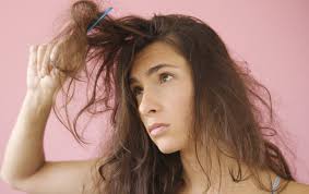 Bana & Saroop Archives