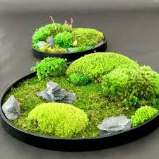 Epingle Sur Jardinages