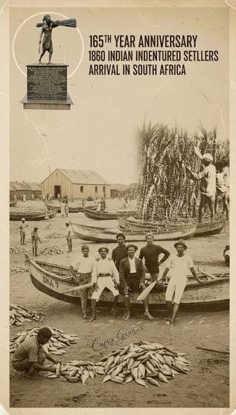 Indian indentured labourers in South Africa legacy