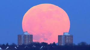 Warum ist der vollmond ein supermond? Supermond Blutmond Mondfinsternis Atemberaubende Fotos Vom Mond Spektakel Hamburger Abendblatt
