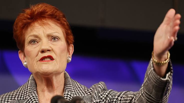 Soap star Christie Hayes slams 'gross' Pauline Hanson comments | News24
