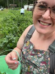 Using pea hulls for composting and gardening