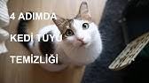 Süpürge ile yüzeye yapışan tüyleri almadan önce elinizle ya da bir fırça yardımıyla onları yapıştıkları yerden kaldırırsanız daha kolay. Hayvan Tuyu Yapismis Yerleri Kolay Temizleme Yontemi Youtube