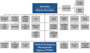 Fema Organizational Structure Related Keywords Suggestions