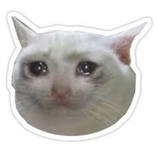 Crying Cat Jpg Sticker In 2021 Meme Stickers Cat Stickers Snapchat Stickers
