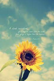 4,835 likes · 8 talking about this. Lock Screen Wallpaper Iphone Bible Verse Novocom Top
