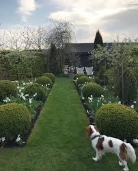 Spring Is Coming Along Here In Carlos Garden Springtime Spring Is Coming Spring Time Garden