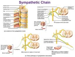 Pin On Chronic Pain