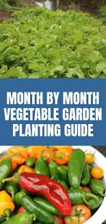 Month By Month Vegetable Garden Planting Guide In 2020 Bio Gemuse Gefulltes Gemuse Garten Grundriss