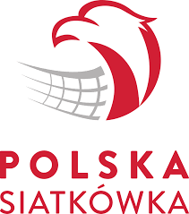 Siatkówka w polsce ma miliony fanów. Pzps Case Study Follow Vision