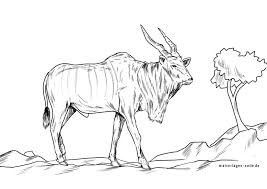 Antelope coloring pages also come in a range of variations. Coloring Page Elen Antelope Wild Animals Free Coloring Pages