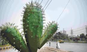 How do i get this thing out? Environment Welcome To Cactus Land Newspaper Dawn Com