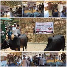 What are the qurbani meat distribution rules? Projects Qurbani Udhiyah Appeal For Rohingya Refugees Host Community Launchgood