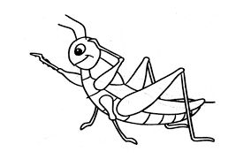Filed under animals coloring pages. Grasshopper Coloring